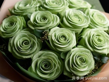 苏格兰复古绿玫瑰，绿色魅力的神秘诠释