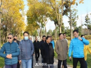 提升城市园林绿化，苏州向上海学什么？